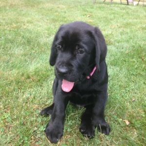 Meet your Posher, Lynn